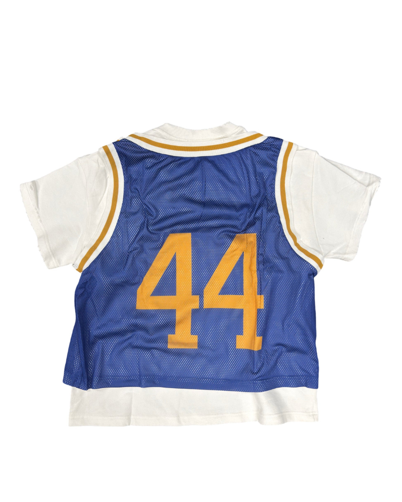 44 MITCHELL JERSEY