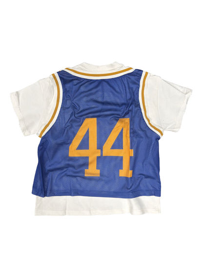44 MITCHELL JERSEY